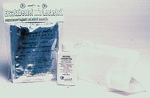 Wespenfalle Nachfüllung 3lt.